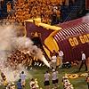 gophers