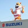 suzuki mascot