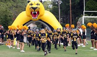 cougar tunnel inflatable for apex