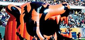 chicago bears tunnel