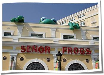 rooftop-advertising-senior-frogs
