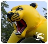 landmark-testimonial-cougar-tunnel