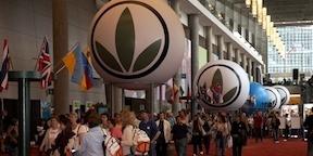 herbalife inflatable spheres