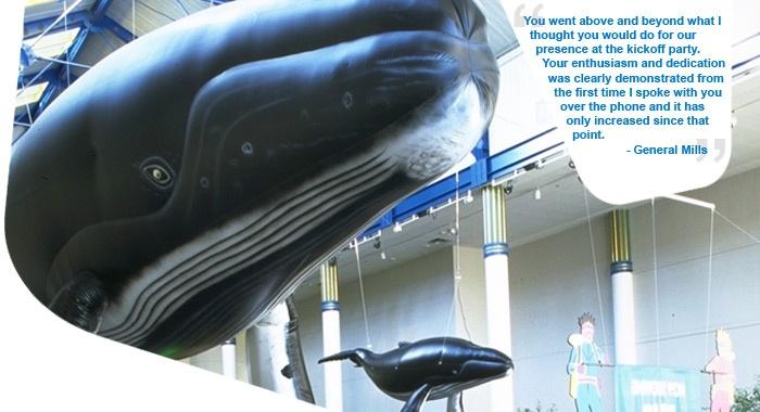 whale-front-test