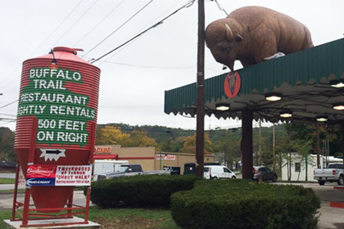 Inflatable Buffalo Mascot