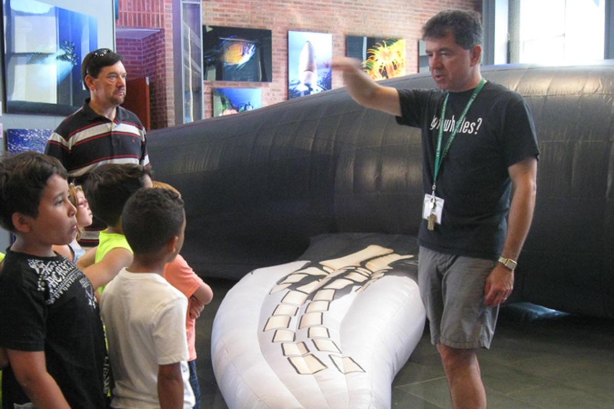 Inflatable Whale New Bedford Whaling Museum