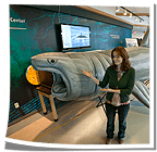 Inflatable Shark