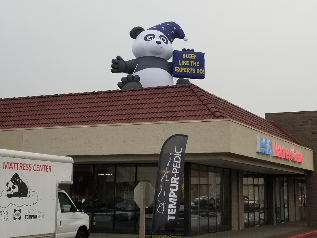 Panda Mascot